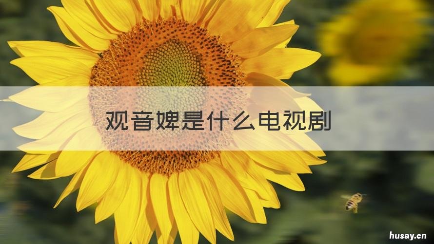 观音婢是什么电视剧 观音婢是谁演的