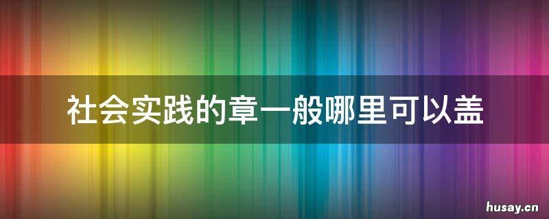 社会实践的章一般哪里可以盖 社会实践活动的章