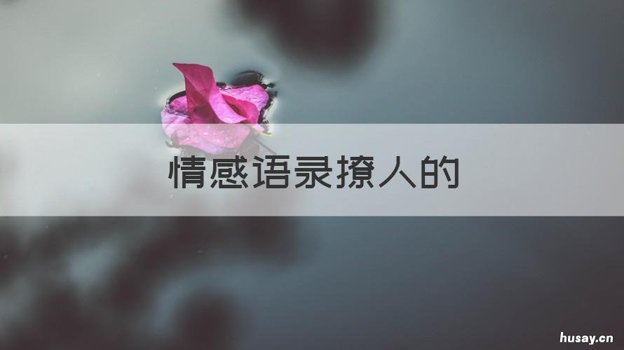 情感语录撩人的 撩人经典语录短句