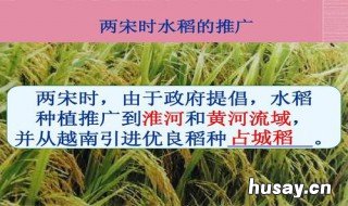 宋朝时从越南引进的农作物 宋代农业从越南引进