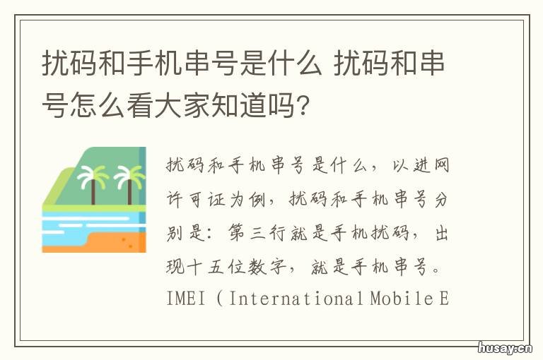 扰码和手机串号是什么 手机号串码是什么意思