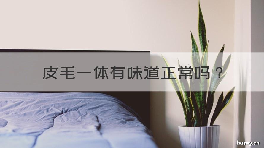 皮毛一体有味道正常吗 皮毛一体有味道正常吗怎么去除