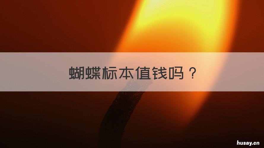 蝴蝶标本值钱吗 蝴蝶标本值钱吗?