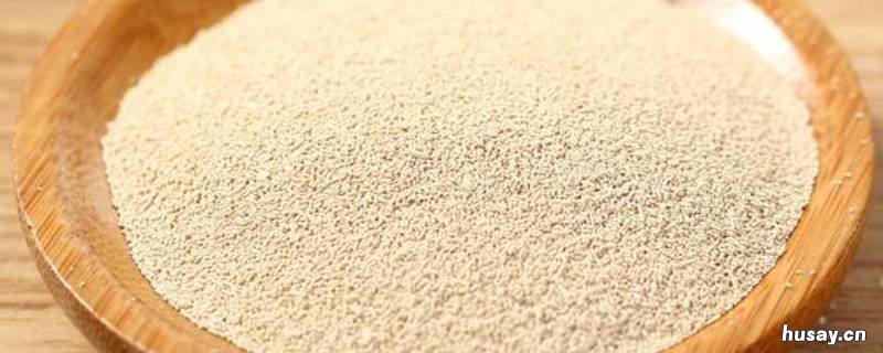 酵母粉和泡打粉一样吗 泡打粉和酵母粉是一样吗