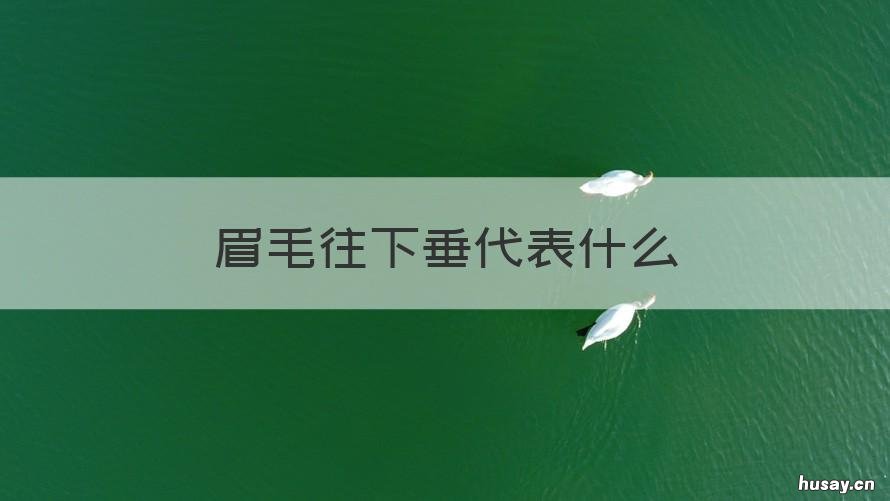 眉毛往下垂代表什么 眉毛往下垂代表什么预兆
