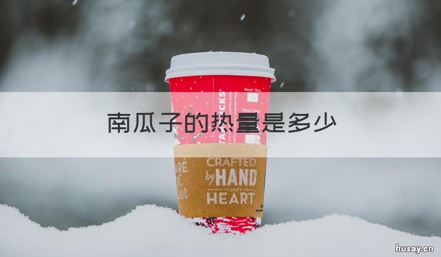 南瓜子的热量是多少 100克生南瓜子的热量