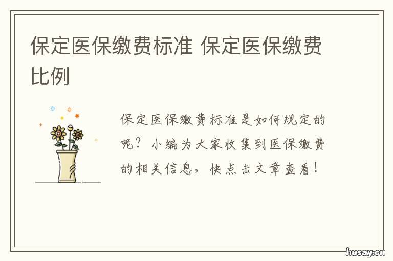 保定医保缴费标准 保定医保缴费标准最新