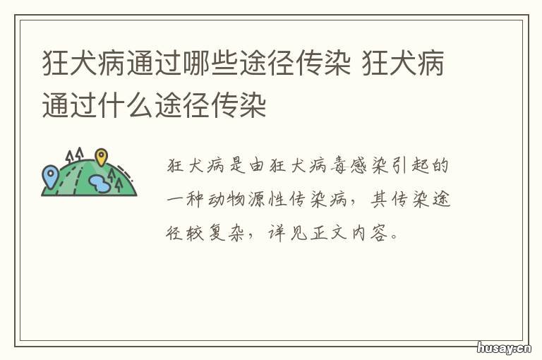 狂犬病通过哪些途径传染 狂犬病通过哪些途径传播