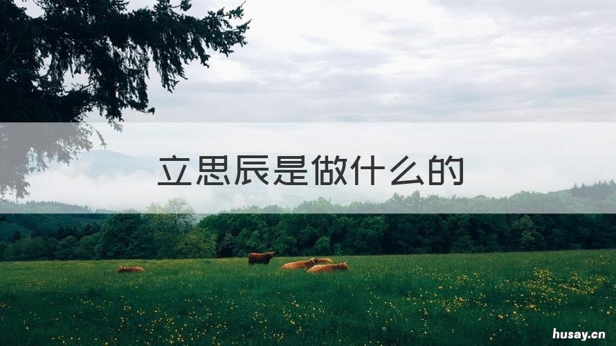 立思辰是做什么的 立思辰成立时间