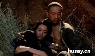 电影菊豆里的天白为什么杀死两个爹 菊豆里的天白结局