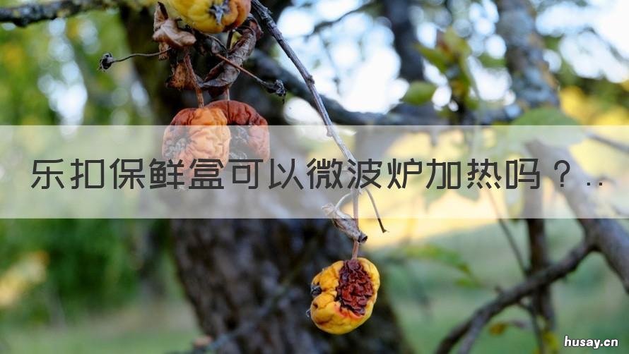 乐扣保鲜盒可以微波炉加热吗 乐扣的保鲜盒能否微波炉加热