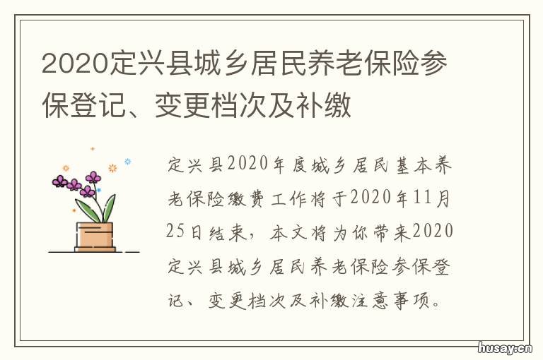 2020定兴县城乡居民养老保险参保登记、变更档次及补缴 2021保定城乡居民基础养老金