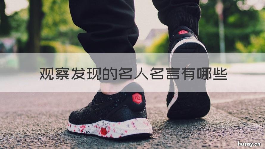 观察发现的名人名言有哪些 关于观察发现的名人名言有哪些