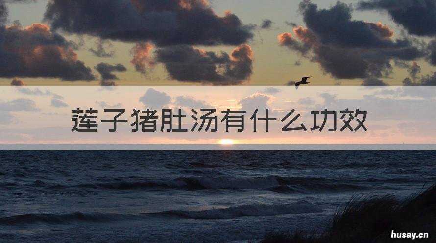 莲子猪肚汤有什么功效 莲子猪肚汤有什么功效和作用