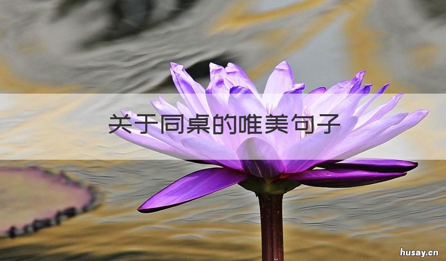 关于同桌的唯美句子 同桌的句子 唯美