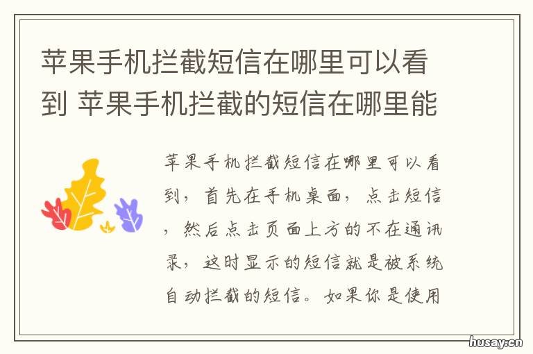 苹果手机拦截短信在哪里可以看到 苹果手机的短信拦截功能在哪里
