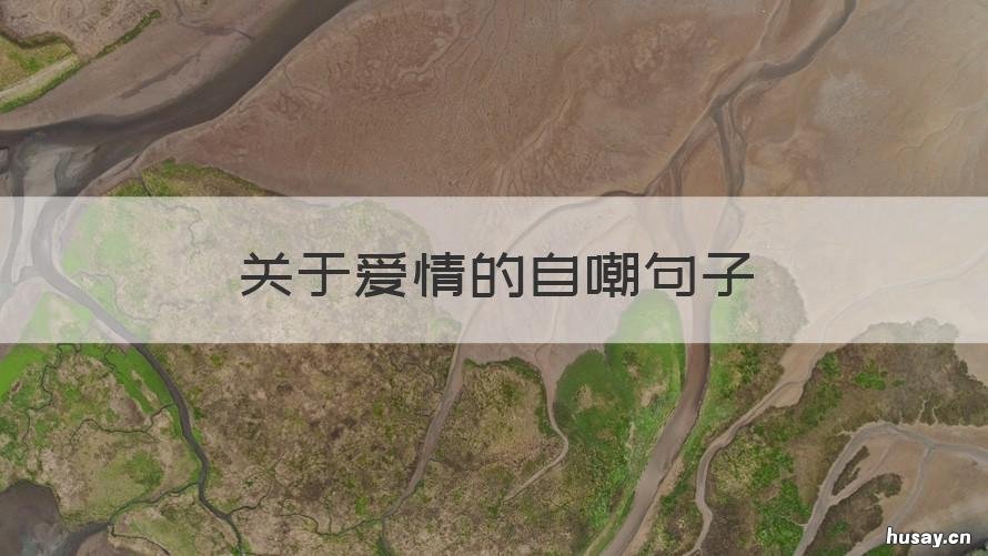 关于爱情的自嘲句子 爱情的讽刺句子