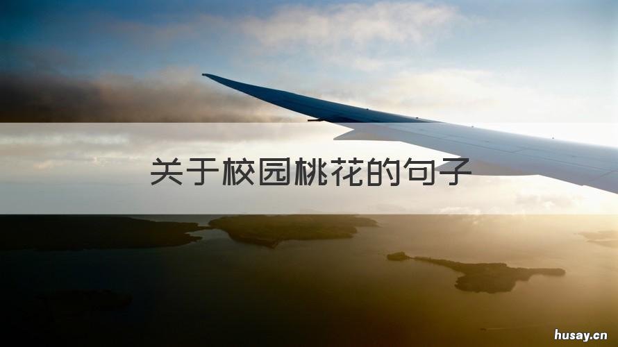 关于校园桃花的句子 写桃花的句子唯美