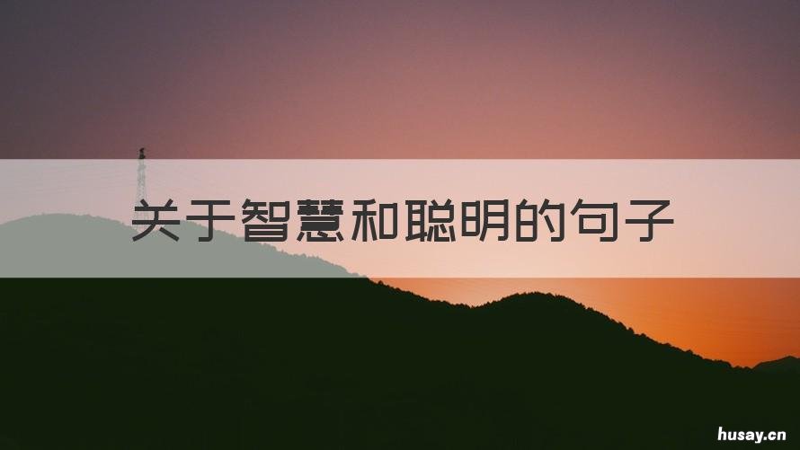关于智慧和聪明的句子 形容聪明智慧的句子