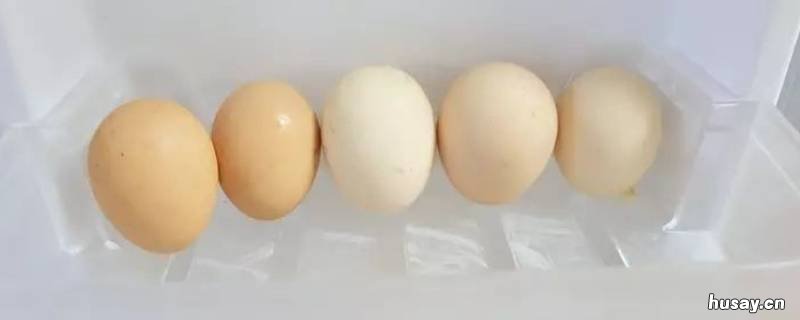 打好的蛋液可以放冰箱保存吗 打好的鸡蛋液可以放冰箱吗