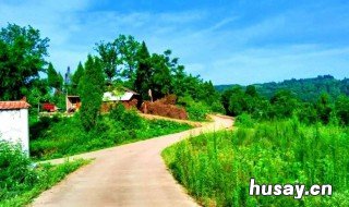 农村耕地树遮阴怎么解决 农村土地遮阴问题