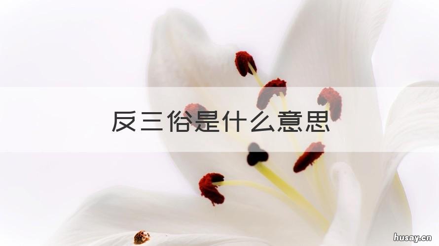反三俗是什么意思 你反三俗了吗
