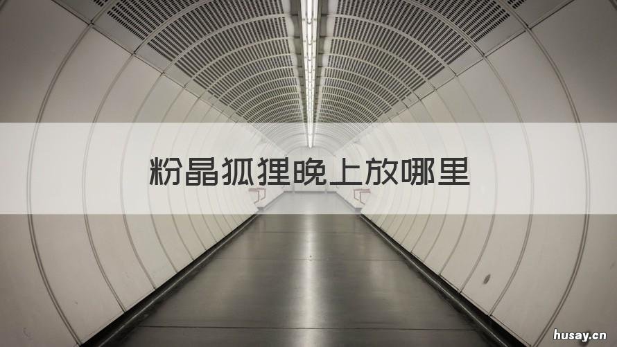 粉晶狐狸晚上放哪里 粉晶狐狸放在包包起作用吗