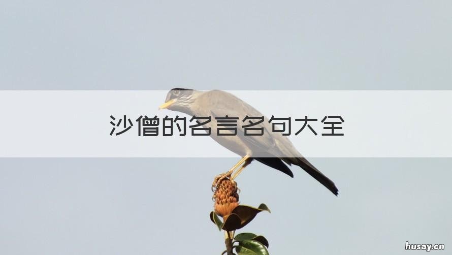 沙僧的名言名句大全 沙僧最常说的五句话