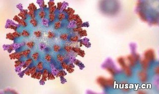 公共卫生2级响应是什么 公共卫生2级响应是什么标准