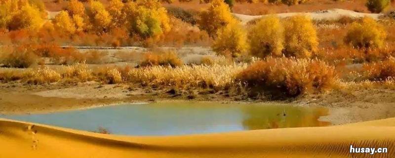 塔里木盆地的面积 塔里木盆地的面积约为560000平方千米