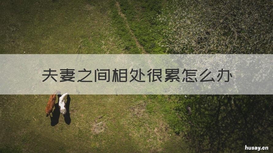 夫妻之间相处很累怎么办 夫妻之间相处感觉很累