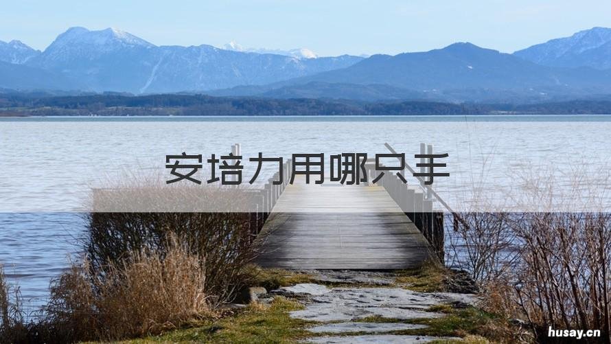 安培力用哪只手 安培力怎么用右手判断