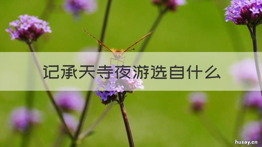 记承天寺夜游选自什么 记承天寺夜游选自什么卷71