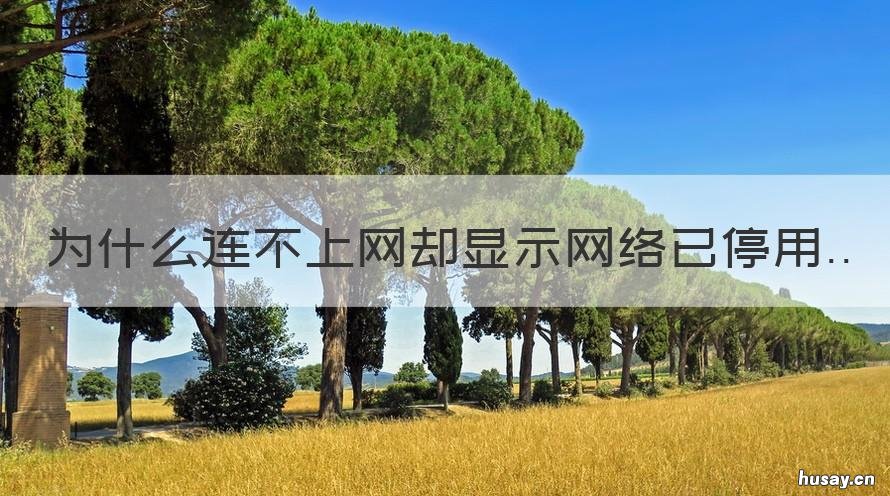 为什么连不上网却显示网络已停用 为什么连不上网却显示网络已连接