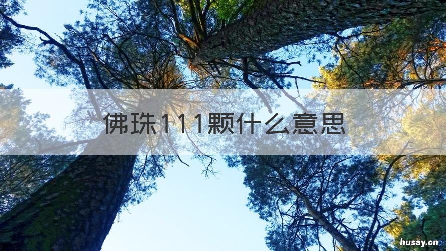 佛珠111颗什么意思 112颗佛珠的含义
