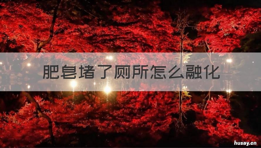 肥皂堵了厕所怎么融化 肥皂堵了马桶怎么融化