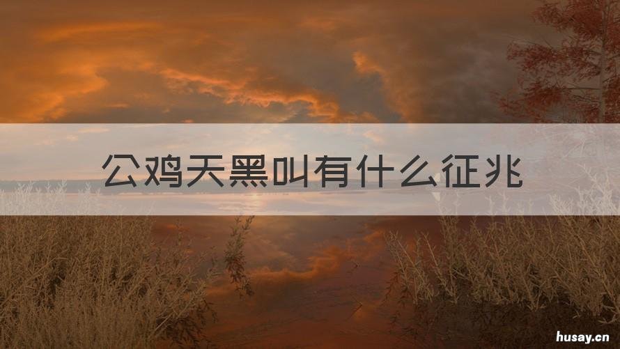 公鸡天黑叫有什么征兆 公鸡天黑叫有什么征兆吗