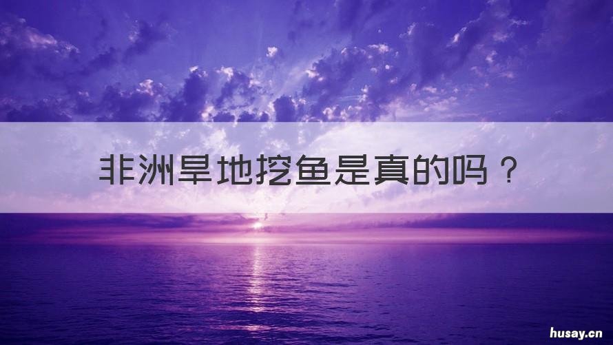 非洲旱地挖鱼是真的吗 非洲地下的鱼是真的吗?