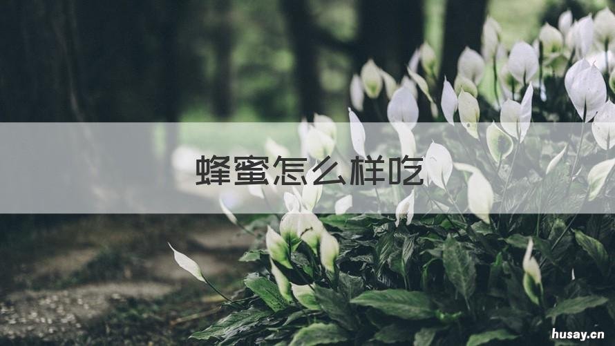 蜂蜜怎么样吃 蜂蜜怎么样吃比较好