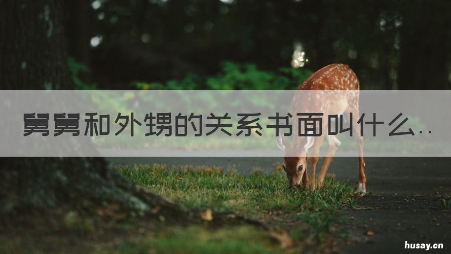 舅舅和外甥的关系书面叫什么 外甥女与舅舅的关系书面叫什么