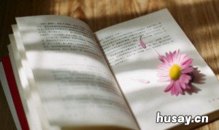 不可同世而立中立的意思