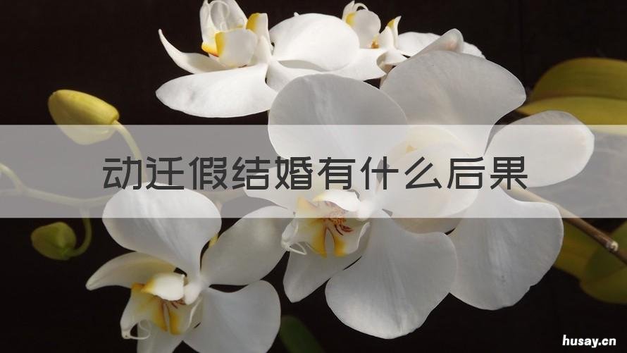 动迁假结婚有什么后果 搬迁假结婚犯法吗