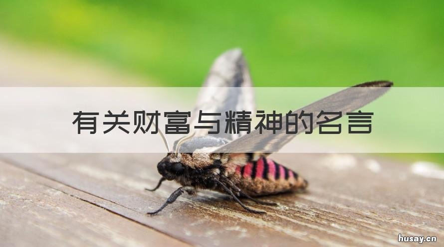 有关财富与精神的名言 有关财富与精神的名言警句