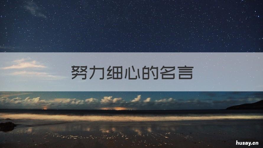 努力细心的名言 努力细心的名言有哪些