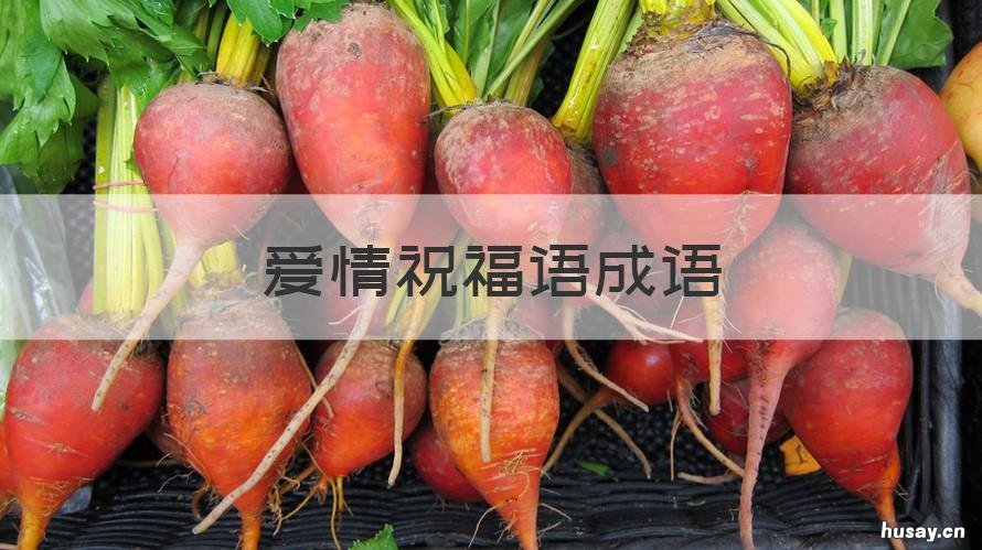 爱情祝福语成语 祝福爱情的成语四字成语大全