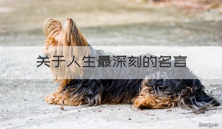 关于人生最深刻的名言 最深刻的一句名言