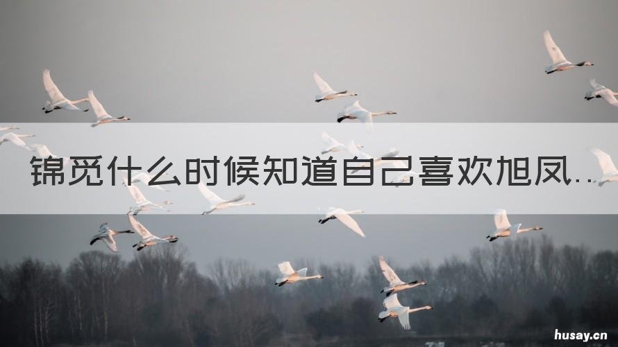 锦觅什么时候知道自己喜欢旭凤 旭凤是什么时候喜欢锦觅的