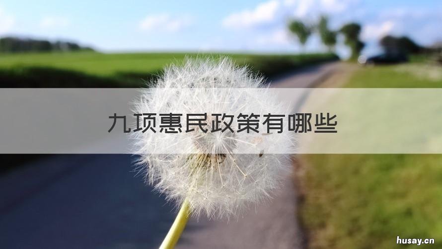 九项惠民政策有哪些 九项惠民政策有哪些措施