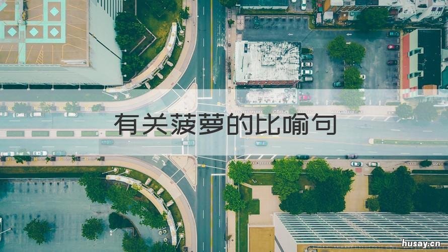 有关菠萝的比喻句 菠萝比喻什么