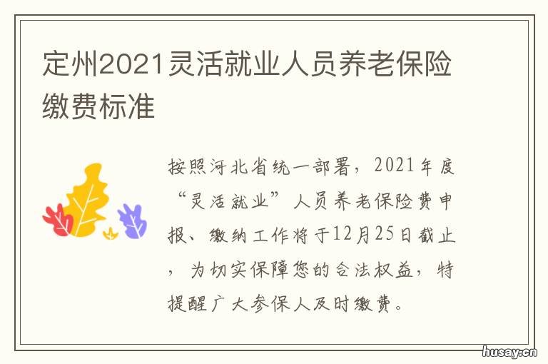 定州2021灵活就业人员养老保险缴费标准 2021年定州养老保险认证